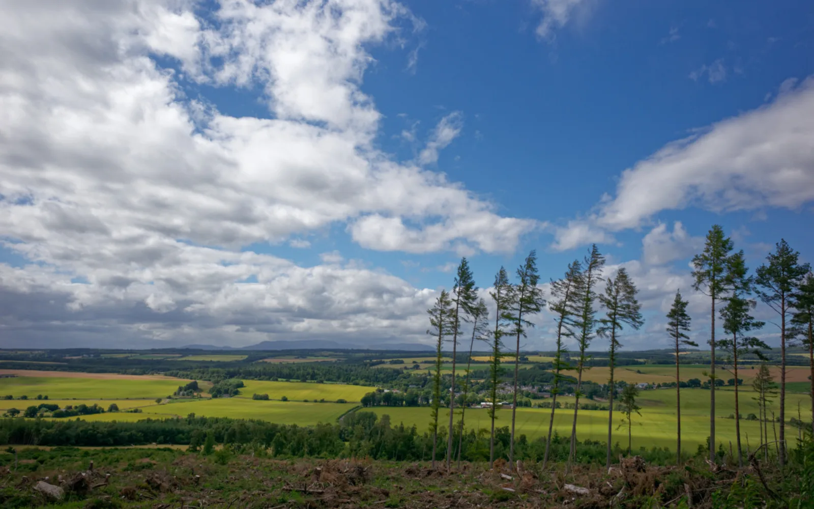 A rural farmland and forestry landscape with fields and tree lines, representing agricultural heritage